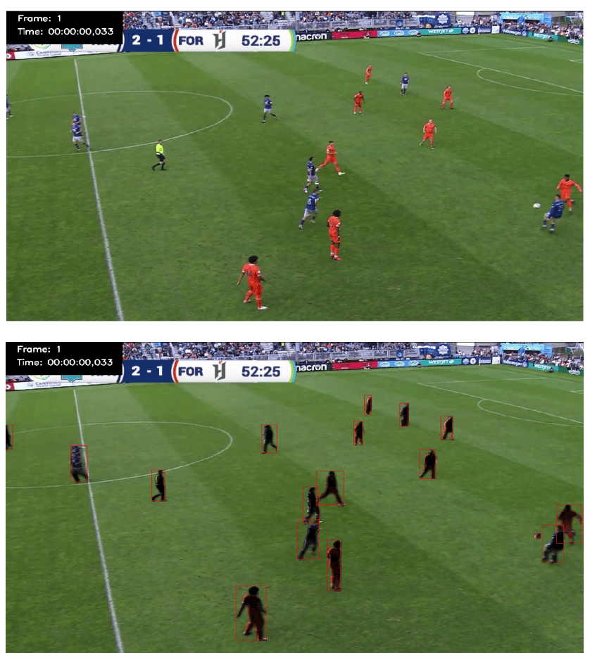 Detection sample