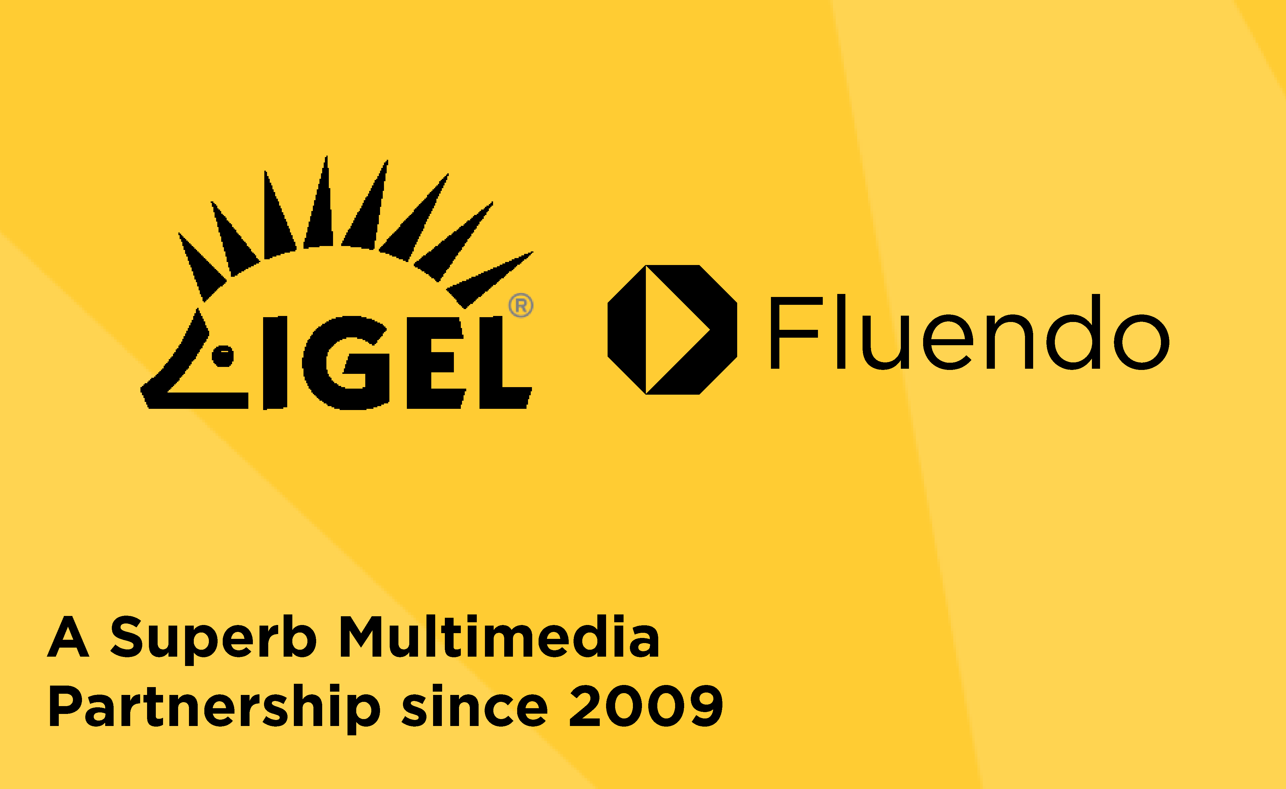 IGEL: A Superb Multimedia Partnership since 2009