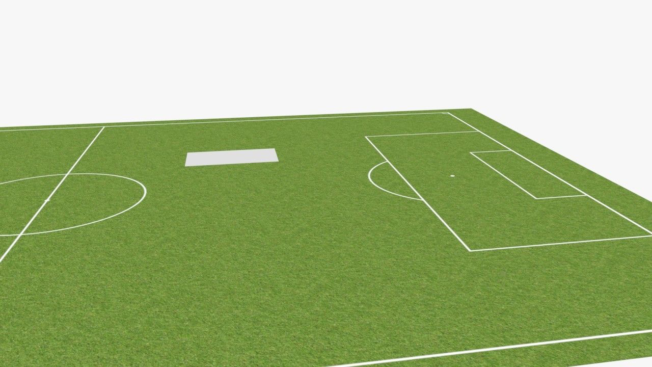Figure 5: Soccer scene captured from an arbitrary position