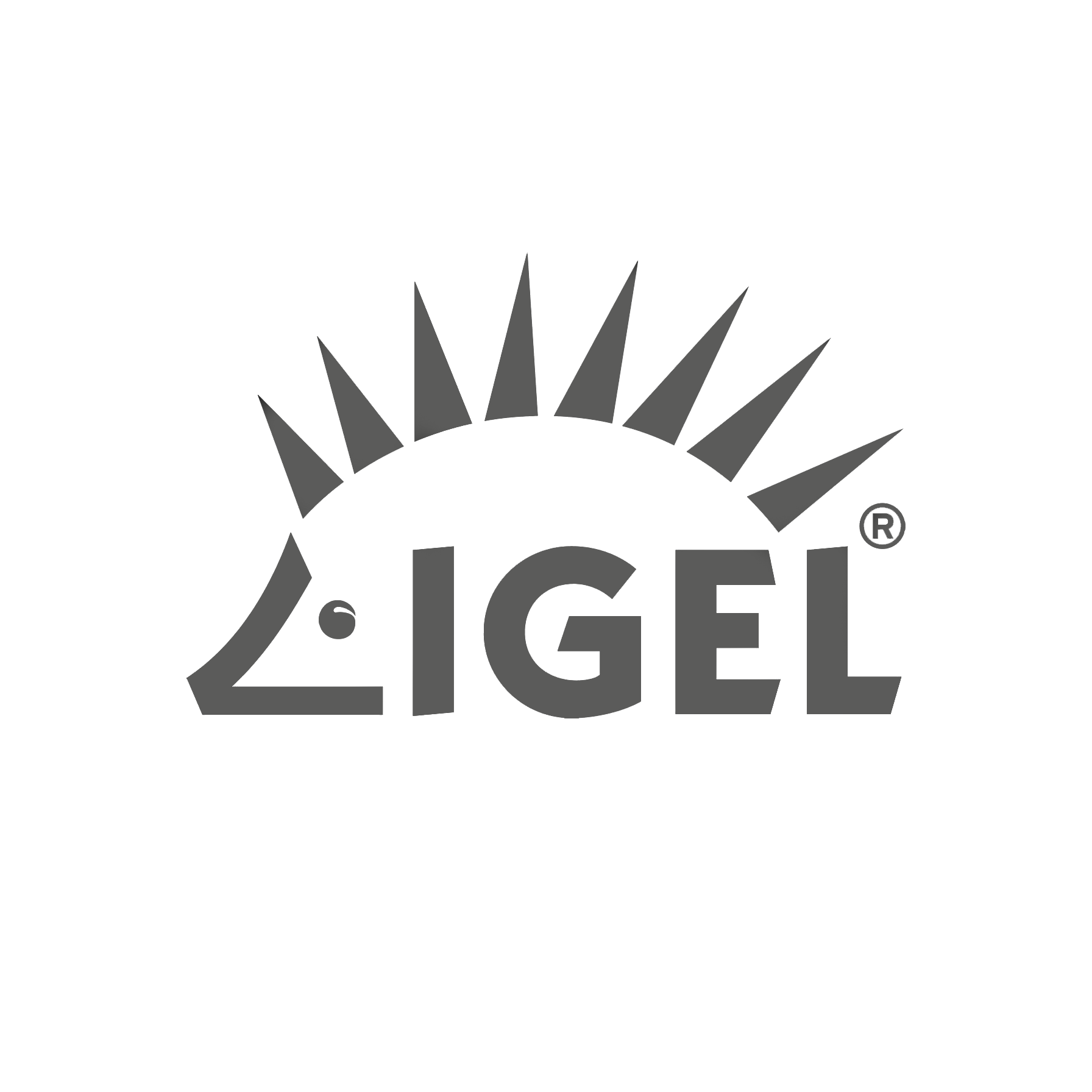 Logo_Igell.png